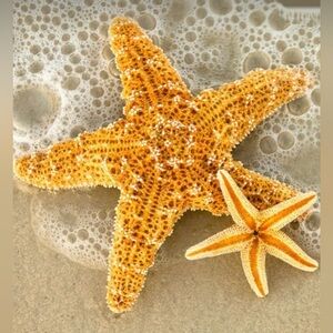 💕Thanks for stopping in. Have a blessed day 💕